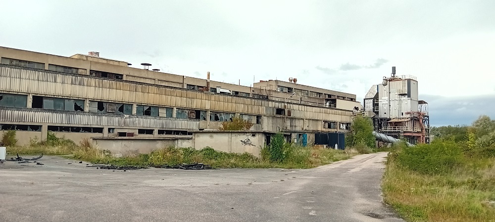 Image 4