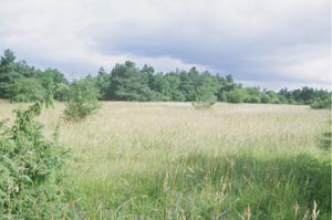 Pelouse de Champlitte et étang de Theuley-les-Vars