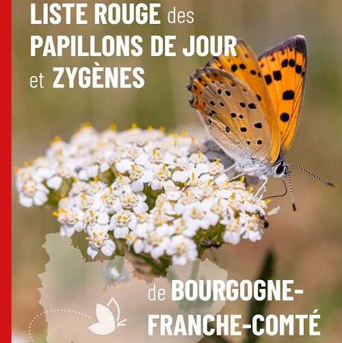 Couverture de la liste rouge représentant un papillon
