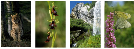 Photos : Banque d'images du Parc naturel régional du Haut-Jura