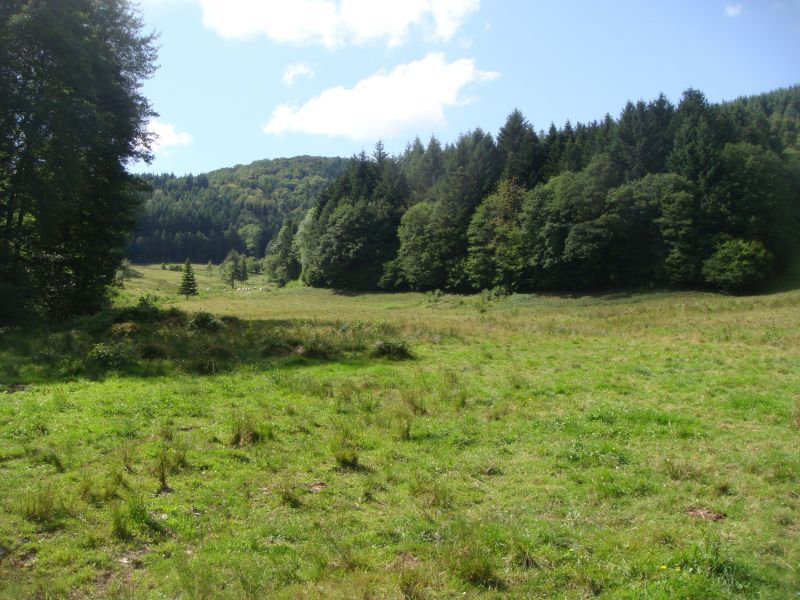 Piemont_Ettueffont