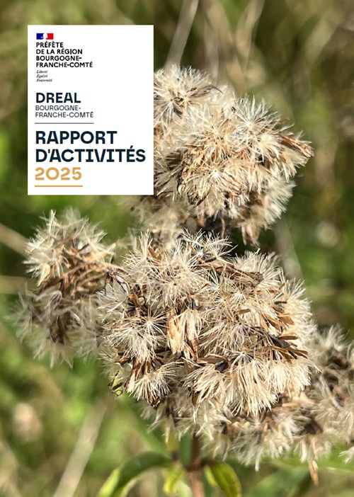 Couverture du rapport d'activités 2025