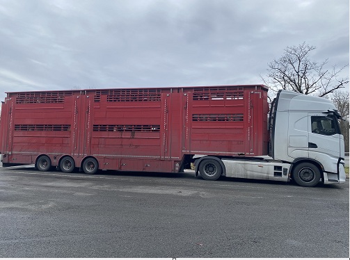 Le véhicule contrôlé et immobilisé 