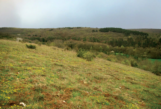 Voutenay-sur-Cure (89)